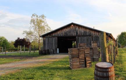 Hidden Valley Orchards