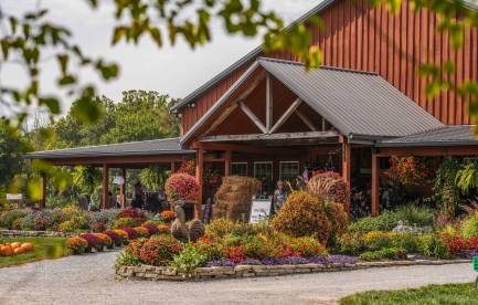 Blooms and Berries Farm Market