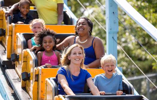 Family Fun & Thrills