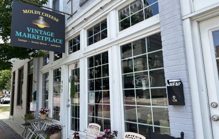 Moldy Cheese Vintage Marketplace