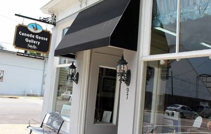 Canada Goose Gallery