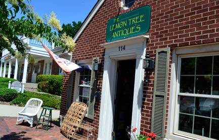 Lemon Tree Antiques