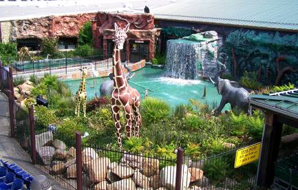 Jungle Jim’s International Market