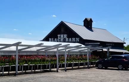 The Black Barn