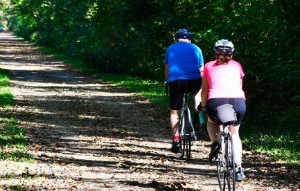 Loveland Bike Rental