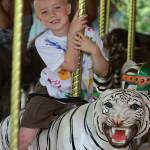 Cincinnati Zoo & Botanical Garden | Kid riding white tiger on carousel