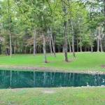 Pond and Trees | Olive Branch Campground