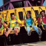 Kings Island | Drop Tower