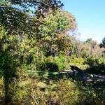 Ohio State Park | Caesar Creek