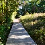 Wooden Bridge at Caesar Creek State Park