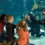 Scuba Divers at Newport Aquarium