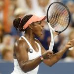 Western & Southern Tennis Tournament in Warren County,  Ohio (Photo Credit: Wickerham)