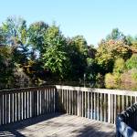 Wildlife Paths | Caesar Creek State Park