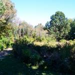 Hiking Trails near Cincinnati and Dayton