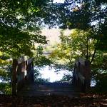 Stairs down to dock | Caesar Creek State Park