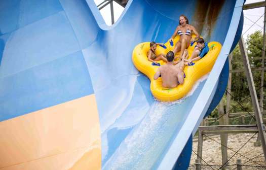 Family Fun & Thrills