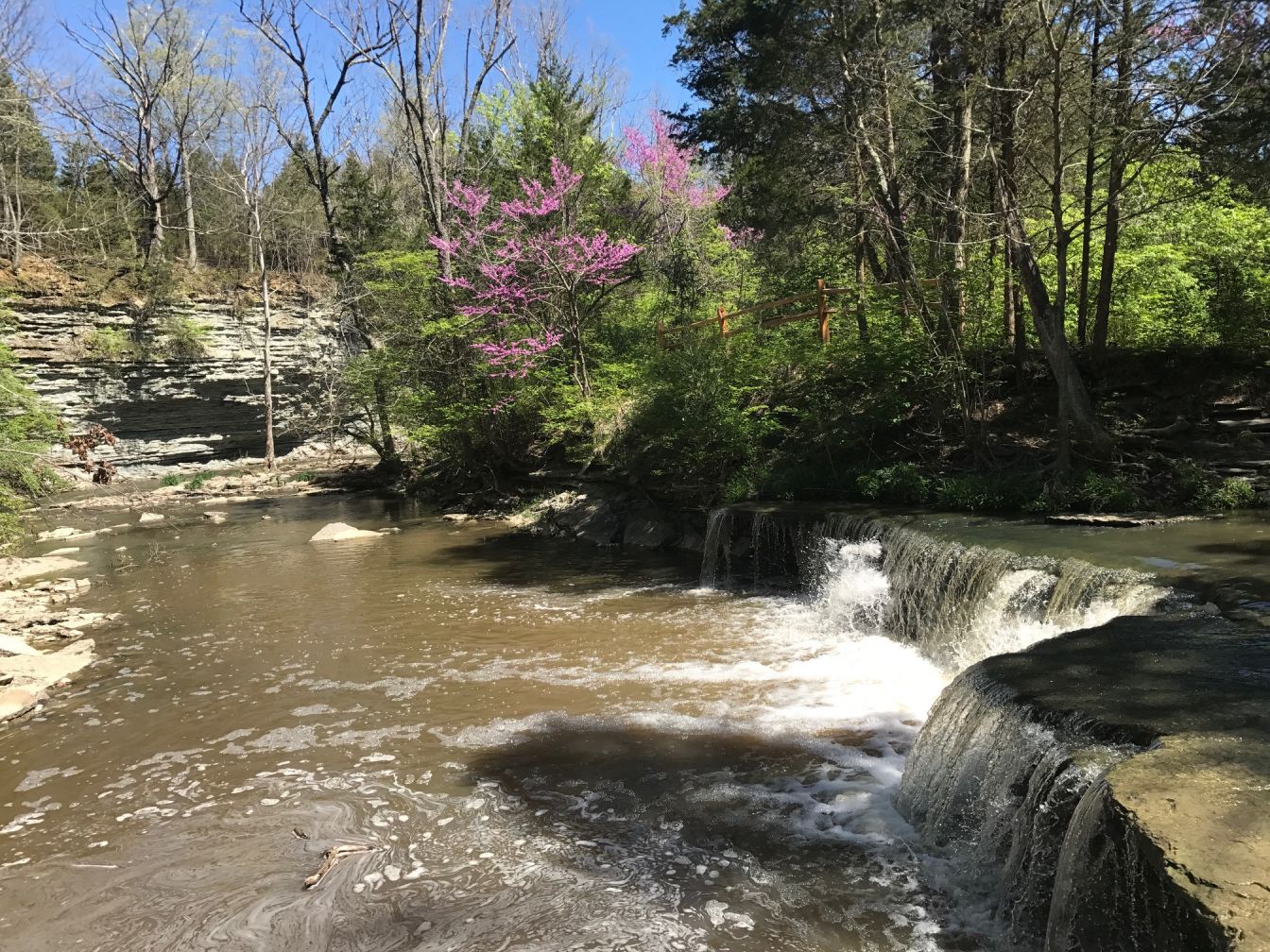 Warrenvile Spring 10 Ways to Celebrate Spring In Warren County | Warren County