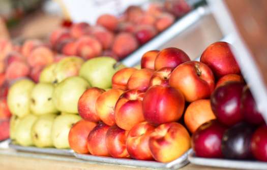 Farms & Farm Markets