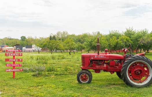 Farms & Farm Markets