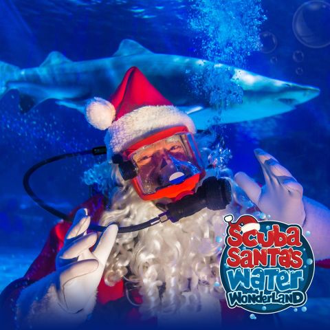 Scuba Santa’s Water Wonderland