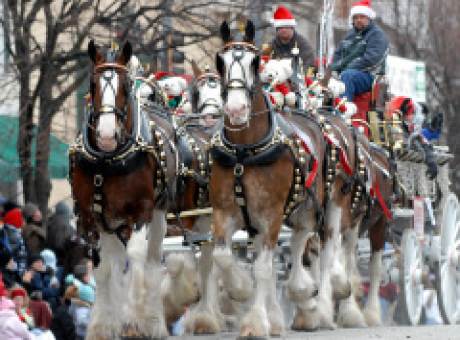 Lebanon Horse-Drawn Carriage Parade